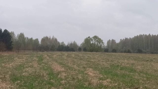 Торги на земельный участок с КН 50:04:0140119:459