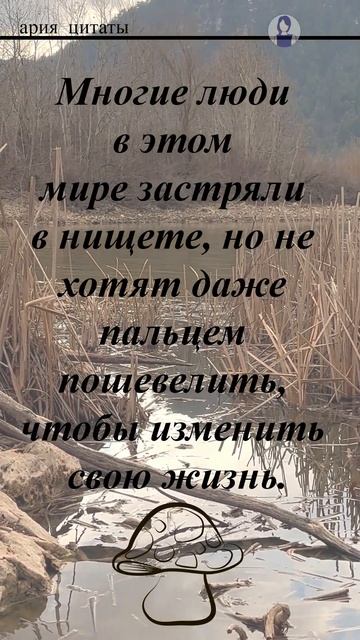 Многие люди в этом мире застряли в нищете, #Саморазвит?