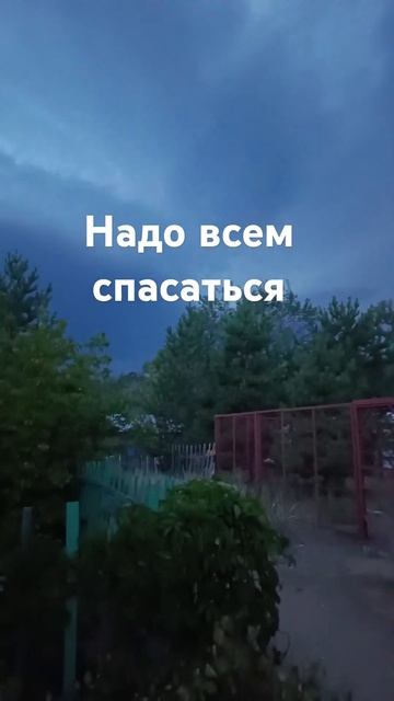 Детская паника на максимум #чп #приколы #погода #гроза #