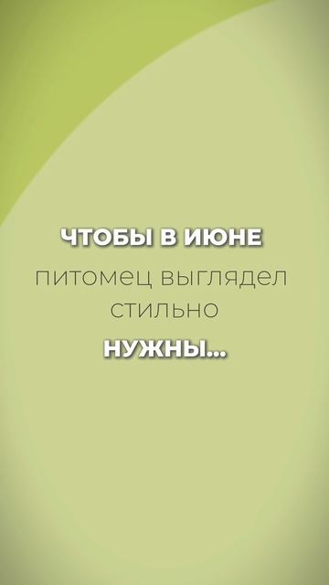 ЛУЧШИЕ АКСЕССУАРЫ 🔥
