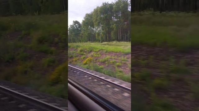 Поезд Москва- Ставрополь