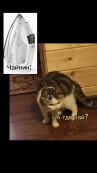 #мем #котвшоке #чайник #CapCut #агдечай?