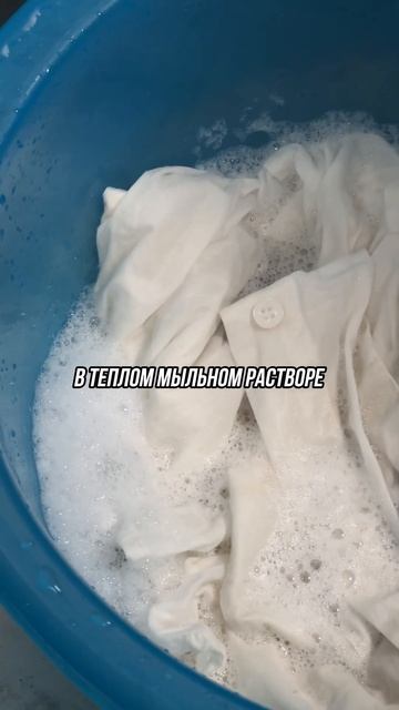 Стираем белую рубашку#прачечная #химчистка #белаяруба