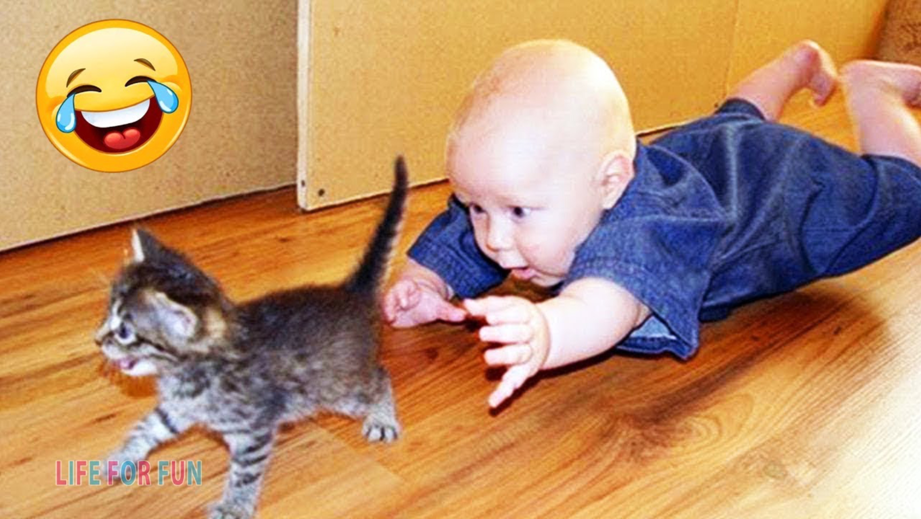 Смешные коты| Приколы с котами и детьми| Приколы с животными