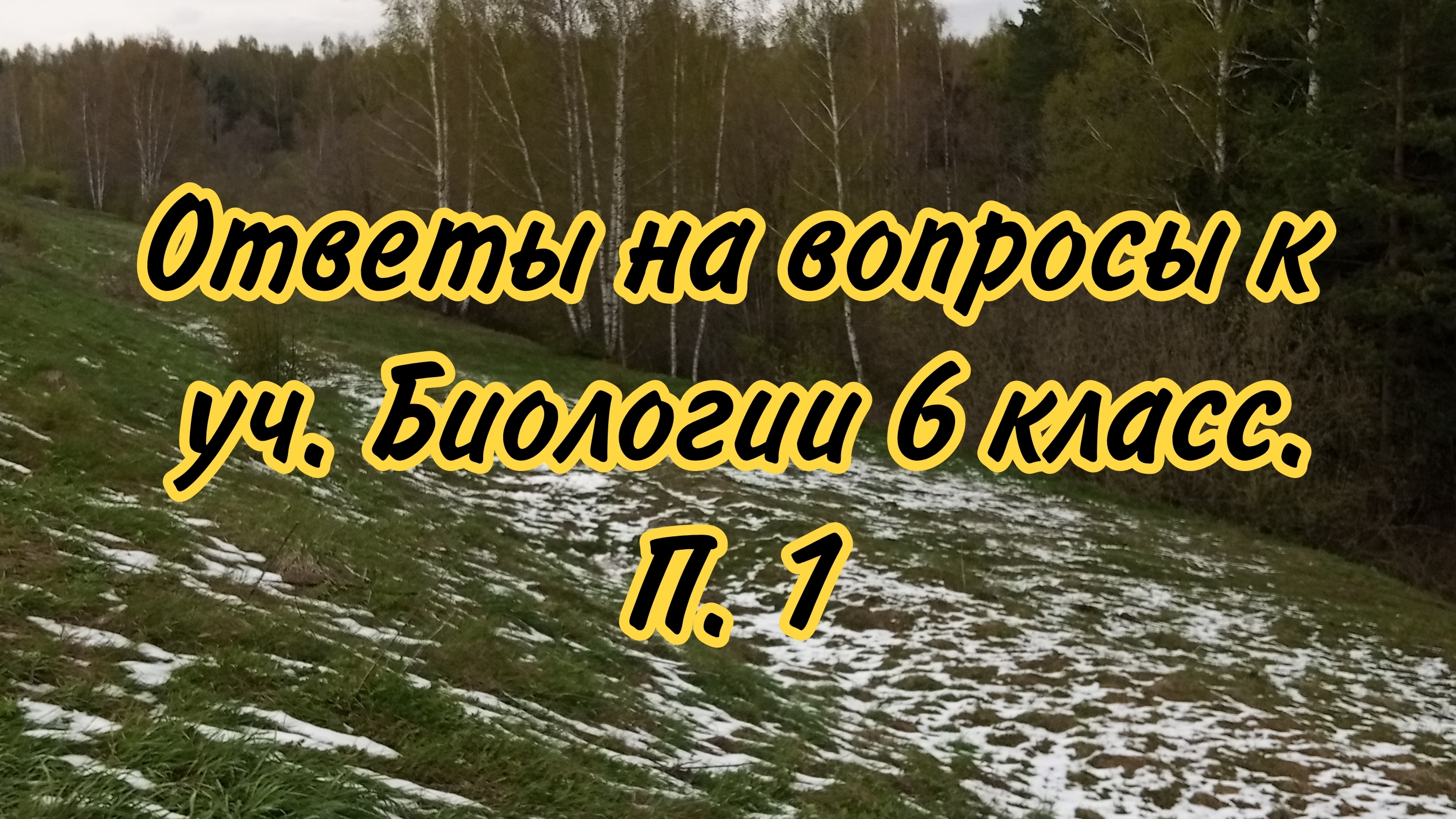 Ответы на вопросы к уч. Биологии 6 класс Пасечник. П. 1