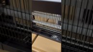 Уничтожители насекомых опт и розница.
