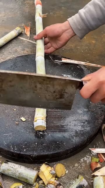 Cut sugar cane into small pieces #shorts