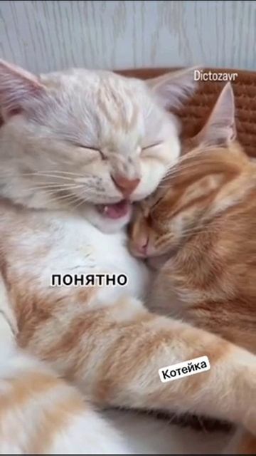 Классика семейных отношений