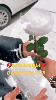 💔БЛИЗНЕЦЫ💔Гороскоп на февраль 2025💔ЗНАКИ ЗОДИАКА💔?
