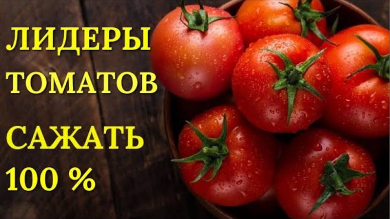 ЭТИ сорта ПОМИДОРОВ засыпят урожаем! САЖАТЬ в 2025 обязательно!