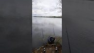 Лещ. Язь. удочка червь