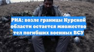 РИА: возле границы Курской области остается множество тел погибших военных ВСУ