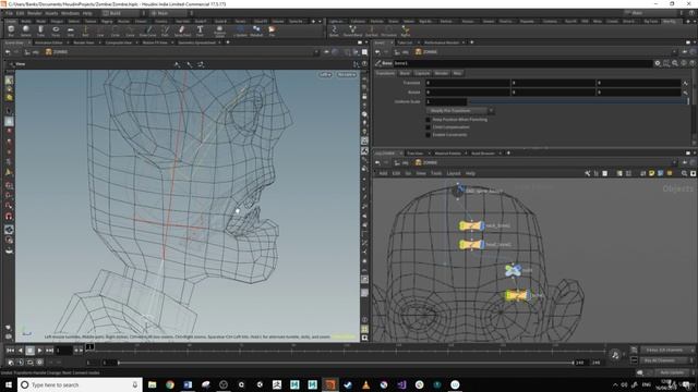 012. Голова и челюсть.