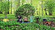 Футажи! Футаж Встреча Весны от Киностудии Мудрого Кота Тимофея!