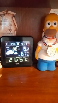 погода из Санкт-Петербурга #санктпетербург #погода