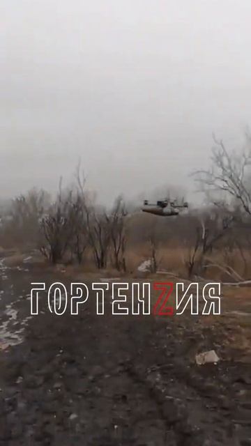 Гортензия 7" - стресс тест с 2 кг! Архивные кадры 2022 года