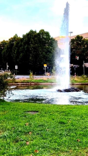 Камера зафиксировала лучший кадр