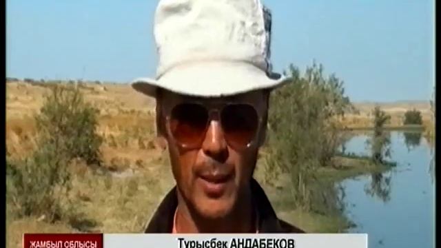 Жамбыл облысындағы мал цианид зауыты қалдығының суынан уланып өлген болуы мүмкін