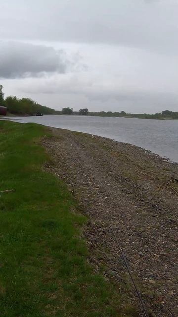 ...боец-молодец🙂#нахлыст #рыбалка2025