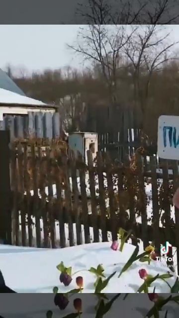 Из Документов Только Паспорт от холодильника😂