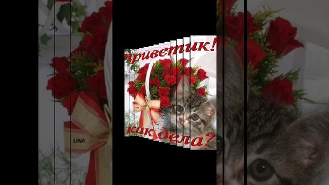 Доброе утро!Улыбнись!