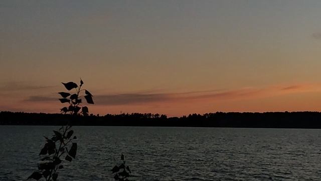 На закате 🌅 с костерком 🔥: общественное сознание, либералы, 2 главных причины нашей Победы, Сталин