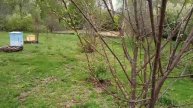 Первомайский Репортаж С Пасеки!#пчеловодство #пчёлы #у