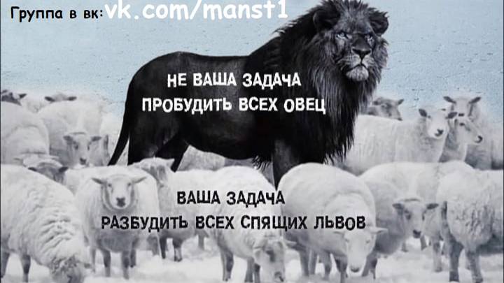 Призыв к брифингу и деятельности. Представился народу. Мужское движение МД.