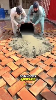 #наука #микроскоп #подмикроскопом #интересно #микромир