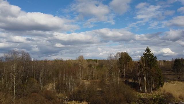 Природа пейзаж весна дрон футаж