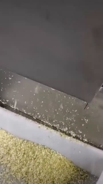 мелкая нарезка белокочанной капусты #оборудование #пи