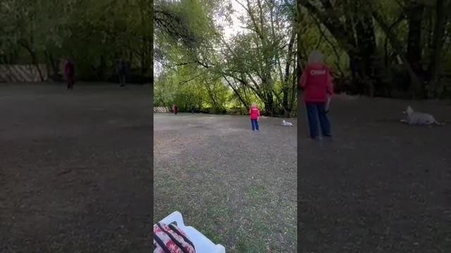 Кубок КЦ Сокольники 10.05.25, Ценный Приз Изида- дебют на 3 степень.