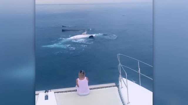 НЕВЕРОЯТНЫЕ_МОМЕНТЫ,_СНЯТЫЕ_НА_КАМЕРУ (2)