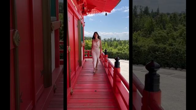 Японский сад 🐲🌸🎍💃