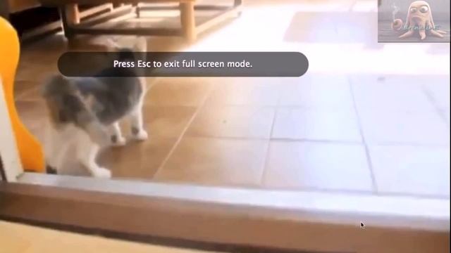 СМЕШНЫЕ ВИДЕО С КОТАМИ. УГАРНЫЕ КОШКИ. ПРИКОЛЬНЫЕ КОТЫ И КОШКИ #27