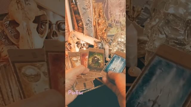 Рыбы Таро-Гороскоп,