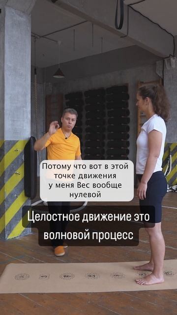 Целостное движение это волновой процесс