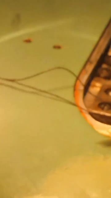 как правильно почистить зубчатую рейку на швейной маш