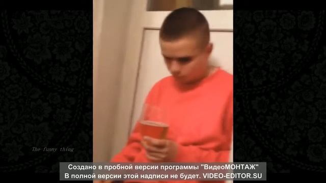 Видео приколы 2016 !!!