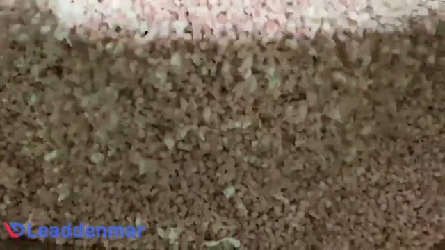 Слайсер Leaddenmar Frozen Meat Slicer L440 нарезка замороженного мяса