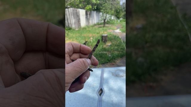 Артефакт из земли