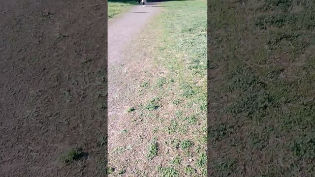 как я иду домой со школы 2 часть