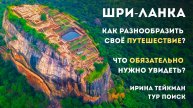 Как разнообразить тур на Шри-Ланке? Путешествие к Львиной скале, чудо-рынок в Канди, пляжи в Мириссе