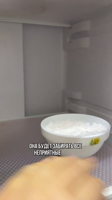 Как убрать неприятный запах из холодильника