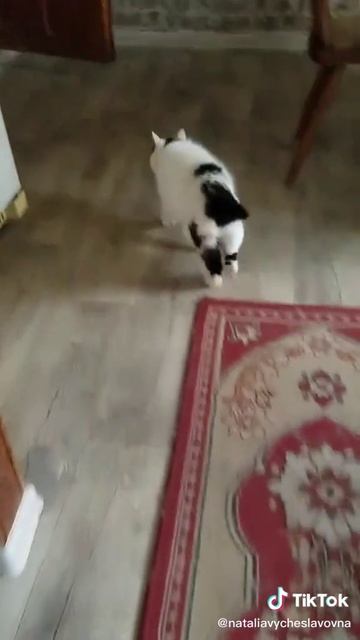 Не брал я твою колбасу...)))