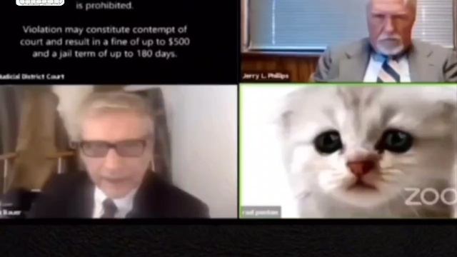Адвокат Котик прикол старая классика
