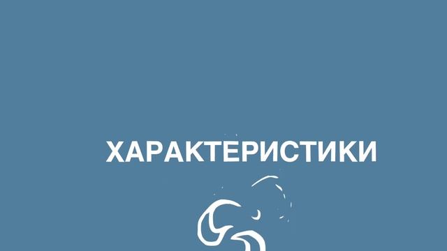 Видеообзор бытового осушителя TROTEC TTK 32 E