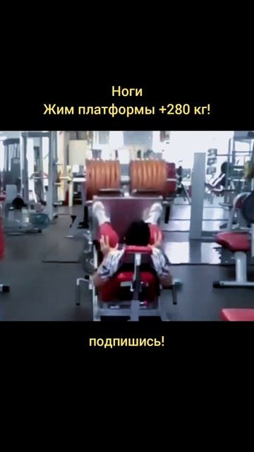 тренировка ног: Жим платформы +280кг!