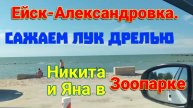 Ейск-Александровка. Сажаем лук севок дрелью. Никита и Яна в зоопарке. Ремонт Ейск.