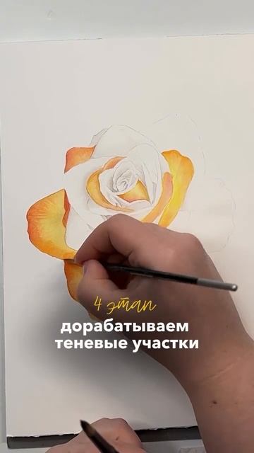 Рисуем розы и делимся вдохновением #акварель #творчество #art #цветы #пейзажи #живопись